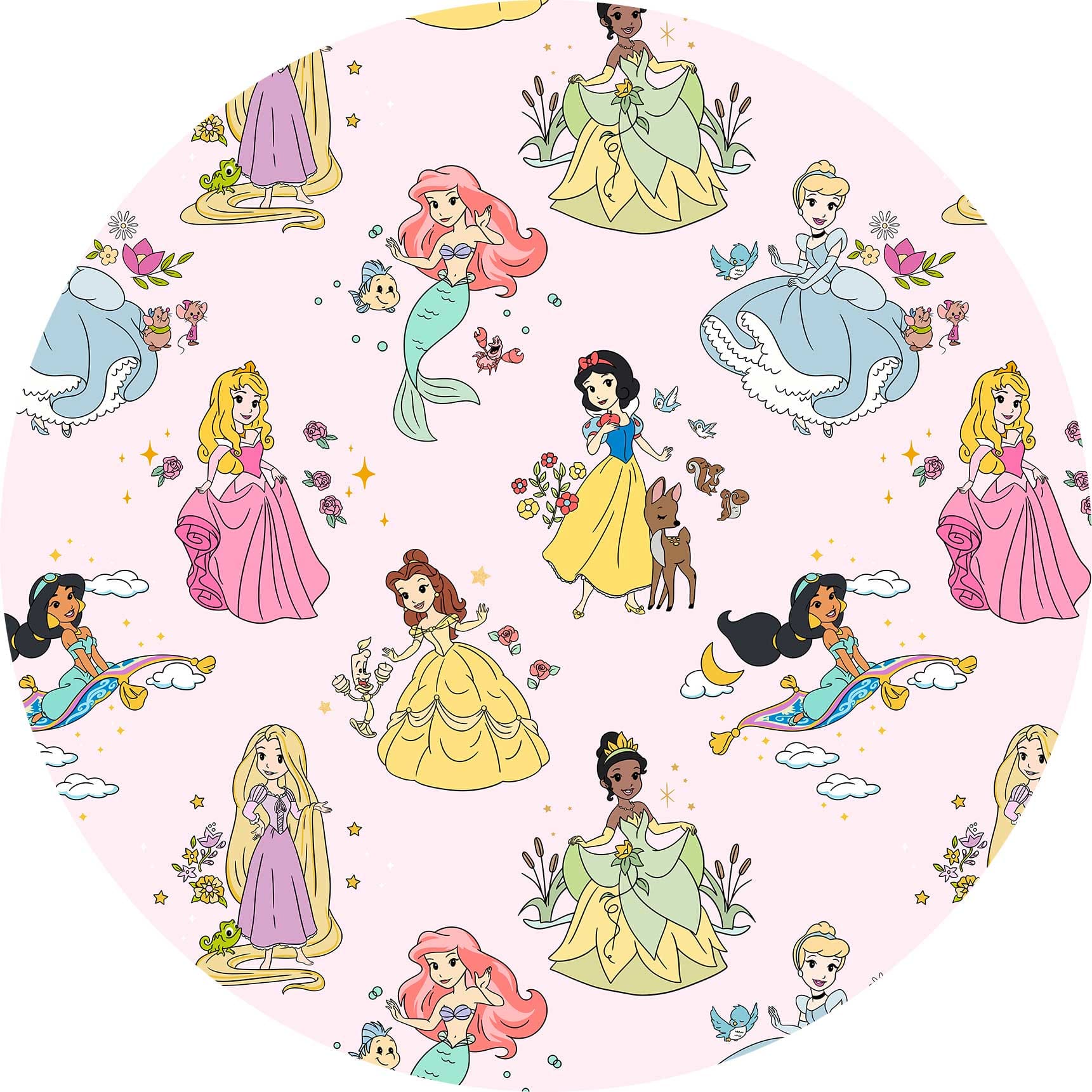 Dream Big Princess Dreams